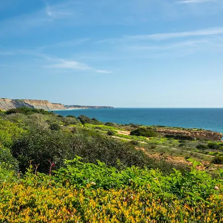 The Oceanfront Vr106